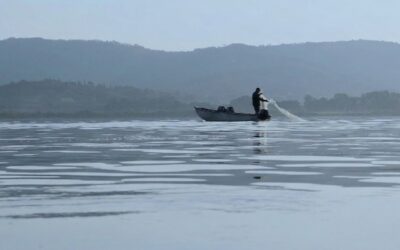 L’Acqua che Nutre, il Tempo che Scorre
