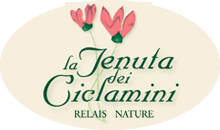 ciclamini logo